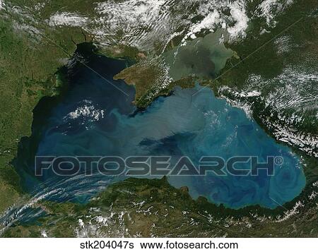 Phytoplankton bloom in the Black Sea. View Large Photo Image Stock Photograph - Phytoplankton bloom in the Black Sea.. Fotosearch