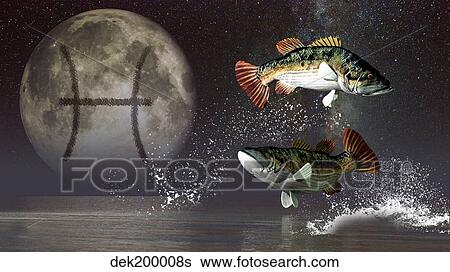 Pisces is the twelfth astrological sign of the Zodiac. View Large Illustration Stock Illustration - Pisces is the twelfth astrological sign of the Zodiac.. Fotosearch