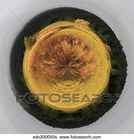 Planet of beautiful fir tree forest. View Large Photo Image Stock Photograph - Planet of beautiful fir tree forest.. Fotosearch