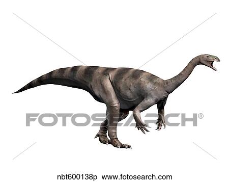 Plateosaurus dinosaur. View Large Illustration Stock Illustration - Plateosaurus dinosaur.. Fotosearch