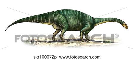 Plateosaurus engelhardti, a prehistoric era dinosaur. View Large Illustration Stock Illustration - Plateosaurus engelhardti, a prehistoric era dinosaur.. Fotosearch