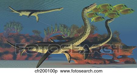 Stock Illustration - Plesiosaurus dinosaurs chase a school of Lemonpeel Angelfish.. Fotosearch