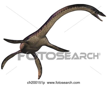 Plesiosaurus, large marine predatory reptile from the Jurassic Era. View Large Illustration Stock Illustration - Plesiosaurus, large marine predatory reptile from the Jurassic Era.. Fotosearch