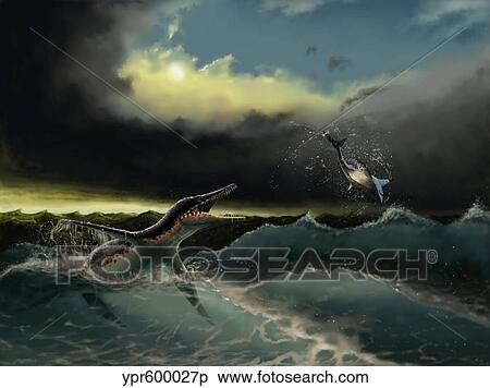 Pliosaurus irgisensis attacking a shark. View Large Illustration Stock Illustration - Pliosaurus irgisensis attacking a shark.. Fotosearch