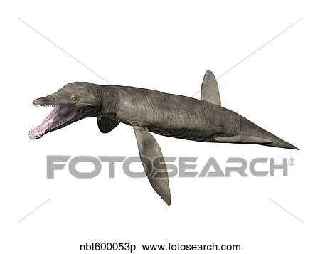 Stock Illustration - Pliosaurus kevani, Late Jurassic of England.. Fotosearch