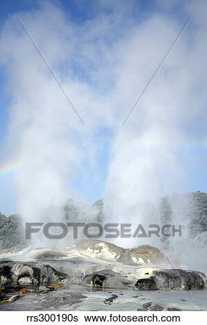 Pohutu and Prince of Wales Feathers Geyser, Whakarewarewa, Rotorua, New Zealand. View Large Photo Image Stock Photograph - Pohutu and Prince of Wales Feathers Geyser, Whakarewarewa, Rotorua, New Zealand.. Fotosearch