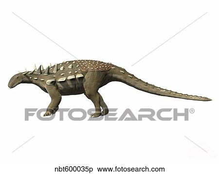 Polacanthus foxii, Early Cretaceous of England. View Large Illustration Stock Illustration - Polacanthus foxii, Early Cretaceous of England.. Fotosearch