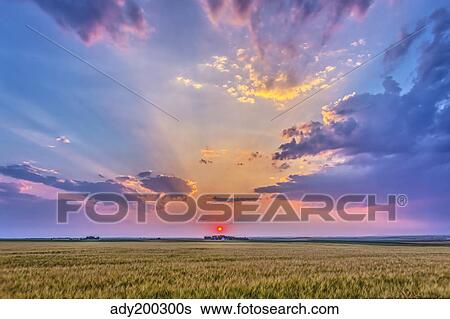 Prairie sunset with crepuscular rays in Alberta, Canada. View Large Photo Image Stock Photograph - Prairie sunset with crepuscular rays in Alberta, Canada.. Fotosearch