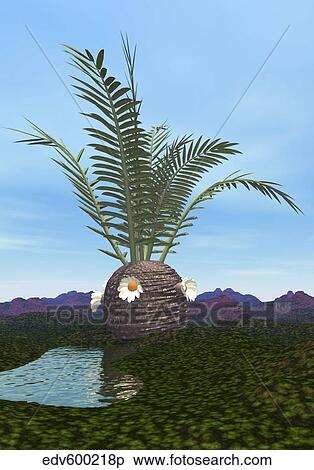 Prehistoric era Cycadeoidea tree. View Large Illustration Stock Illustration - Prehistoric era Cycadeoidea tree.. Fotosearch