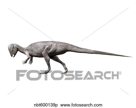 Prenocephale dinosaur. View Large Illustration Stock Illustration - Prenocephale dinosaur.. Fotosearch