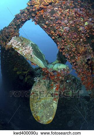 Propeller of Hilma Hooker shipwreck in Bonaire. View Large Photo Image Stock Photograph - Propeller of Hilma Hooker shipwreck in Bonaire.. Fotosearch