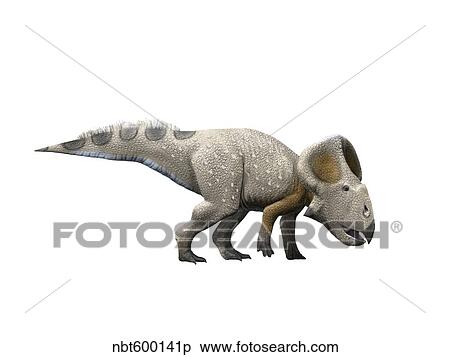 Protoceratops dinosaur. View Large Illustration Stock Illustration - Protoceratops dinosaur.. Fotosearch