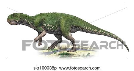 Psittacosaurus mongoliensis, a prehistoric era dinosaur. View Large Illustration Stock Illustration - Psittacosaurus mongoliensis, a prehistoric era dinosaur.. Fotosearch