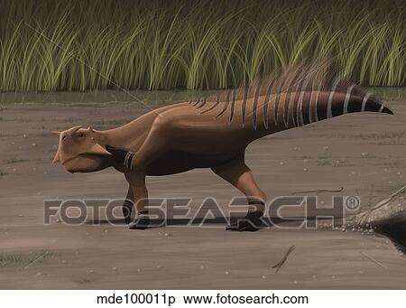 Psittacosaurus sibiricus in a prehistoric landscape. View Large Illustration Stock Illustration - Psittacosaurus sibiricus in a prehistoric landscape.. Fotosearch