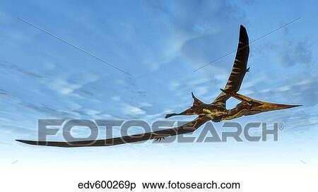 Pteranodon bird flying in blue sky. View Large Illustration Stock Illustration - Pteranodon bird flying in blue sky.. Fotosearch