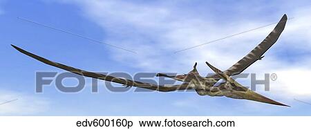 Stock Illustration - Pteranodon dinosaur flying in the blue sky.. Fotosearch