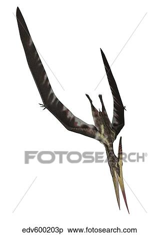 Pteranodon flying reptile. View Large Illustration Stock Illustration - Pteranodon flying reptile.. Fotosearch