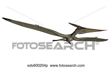 Pteranodon flying reptile. View Large Illustration Stock Illustration - Pteranodon flying reptile.. Fotosearch