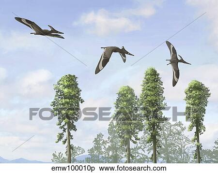 Pteranodon longiceps trio, two males and a female. View Large Illustration Stock Illustration - Pteranodon longiceps trio, two males and a female.. Fotosearch