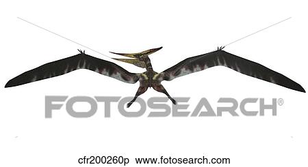 Pteranodon was a pterosaur from the Cretaceous Period of North America. View Large Illustration Stock Illustration - Pteranodon was a pterosaur from the Cretaceous Period of North America.. Fotosearch