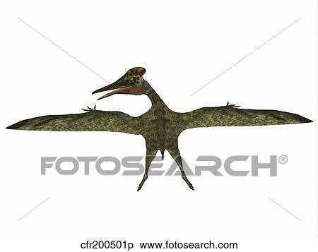 Stock Illustration - Pterodactylus flying reptile.. Fotosearch