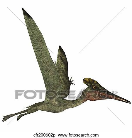 Pterodactylus flying reptile. View Large Illustration Stock Illustration - Pterodactylus flying reptile.. Fotosearch