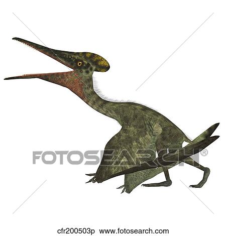 Pterodactylus flying reptile. View Large Illustration Stock Illustration - Pterodactylus flying reptile.. Fotosearch