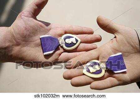 Picture - Purple Heart recipients display their medals in their hands.. Fotosearch