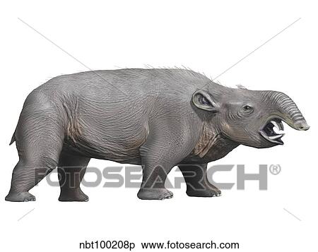 Stock Illustration - Pyrotherium is an extinct ungulate from the Oligocene epoch.. Fotosearch