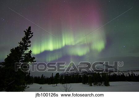 Red and green aurora borealis over Carcross Desert, Carcross, Yukon, Canada. View Large Photo Image Stock Photograph - Red and green aurora borealis over Carcross Desert, Carcross, Yukon, Canada.. Fotosearch