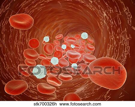 Red blood cell flow inside the artery. View Large Illustration Drawing - Red blood cell flow inside the artery.. Fotosearch