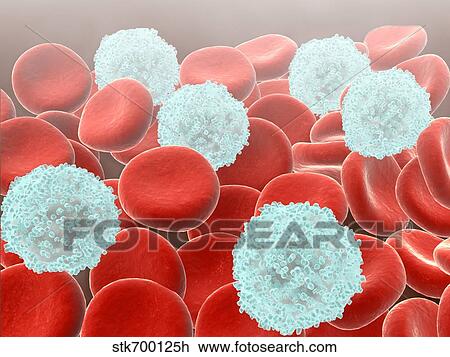 Drawing - Red blood cells with white blood cells.. Fotosearch