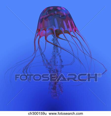 Stock Illustration - Red jellyfish illustration.. Fotosearch