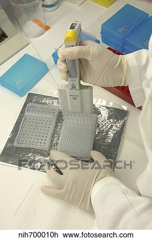Researcher in lab uses pipette and measures RNA. View Large Photo Image Stock Image - Researcher in lab uses pipette and measures RNA.. Fotosearch