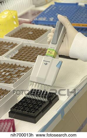 Researcher uses pipette in lab. View Large Photo Image Stock Image - Researcher uses pipette in lab.. Fotosearch