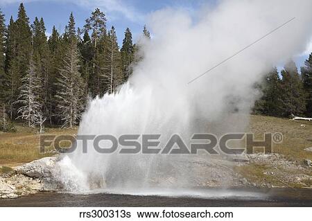 Riverside Geyser erupting, Upper Geyser Basin geothermal area, Yellowstone National Park. View Large Photo Image Stock Photograph - Riverside Geyser erupting, Upper Geyser Basin geothermal area, Yellowstone National Park.. Fotosearch
