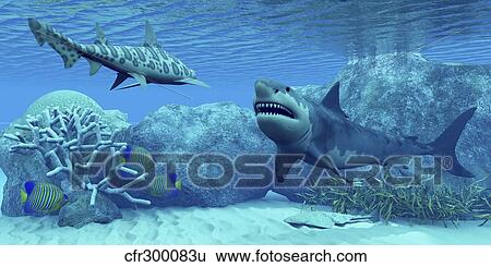 Royal Angelfish try to hide from a Great White Shark and a Leopard Shark. View Large Illustration Stock Illustration - Royal Angelfish try to hide from a Great White Shark and a Leopard Shark.. Fotosearch