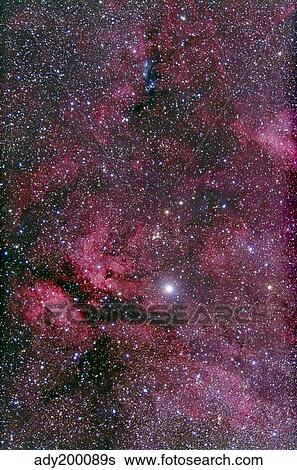 Sadr region of Cygnus around Gamma Cygni. View Large Photo Image Stock Photograph - Sadr region of Cygnus around Gamma Cygni.. Fotosearch