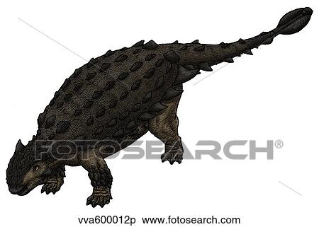 Saichania, a Mongolian ankylosaurid from the Cretaceous Period. View Large Illustration Stock Illustration - Saichania, a Mongolian ankylosaurid from the Cretaceous Period.. Fotosearch
