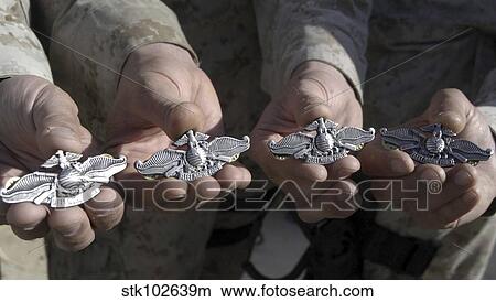 Picture - Sailors display their Fleet Marine Force Warfare Device.. Fotosearch