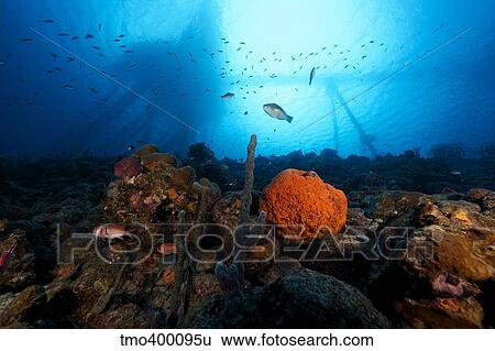 Stock Photograph - Salt Pier seen perched on top of reef, Bonaire, Caribbean Netherlands.. Fotosearch