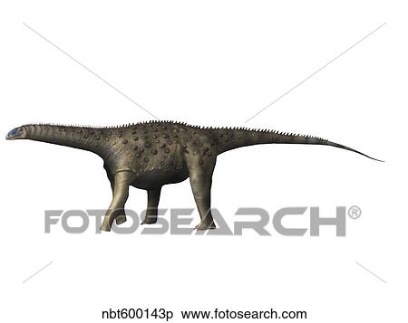 Saltasaurus dinosaur. View Large Illustration Stock Illustration - Saltasaurus dinosaur.. Fotosearch