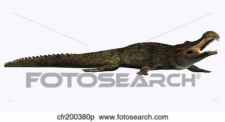 Sarcosuchus crocodyliform from the prehistoric era. View Large Illustration Stock Illustration - Sarcosuchus crocodyliform from the prehistoric era.. Fotosearch