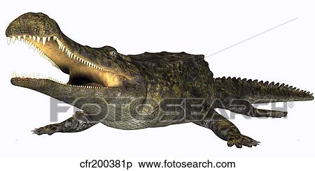 Stock Illustration - Sarcosuchus crocodyliform from the prehistoric era.. Fotosearch