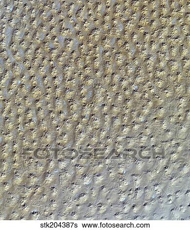 Satellite view of the Grand Erg Oriental sand dunes in the Saharan Desert. View Large Photo Image Stock Photograph - Satellite view of the Grand Erg Oriental sand dunes in the Saharan Desert.. Fotosearch
