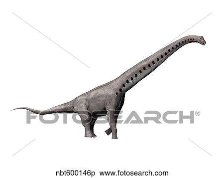 Sauroposeidon dinosaur. View Large Illustration Stock Illustration - Sauroposeidon dinosaur.. Fotosearch