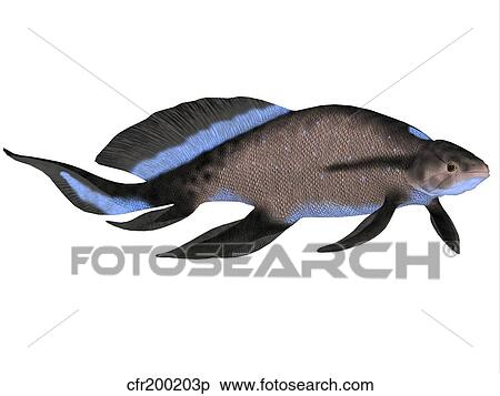 Scaumenacia is an extinct genus of lobe-finned fish. View Large Illustration Stock Illustration - Scaumenacia is an extinct genus of lobe-finned fish.. Fotosearch