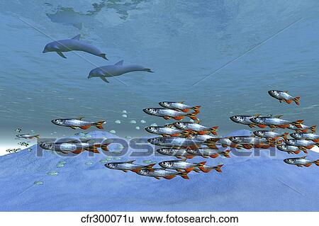 Stock Illustration - Schools of fish swim in the blue ocean.. Fotosearch