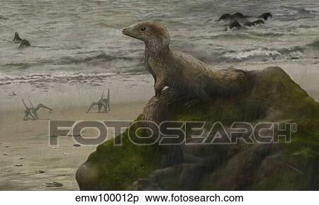 Sciurumimus, a possible baby megalosaurid theropod. View Large Illustration Stock Illustration - Sciurumimus, a possible baby megalosaurid theropod.. Fotosearch
