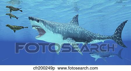 Seals race to get away from a giant Megalodon shark. View Large Illustration Stock Illustration - Seals race to get away from a giant Megalodon shark.. Fotosearch